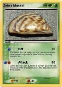 Zebra Mussel