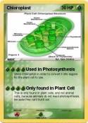 Chloroplast