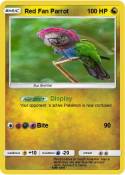 Red Fan Parrot