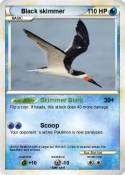 Black skimmer
