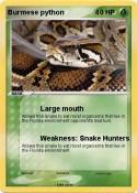 Burmese python