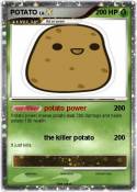 POTATO POTATO