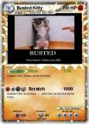 Busted Kitty