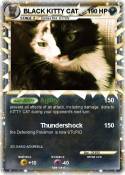 BLACK KITTY CAT