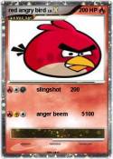 red angry bird