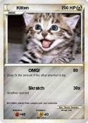 Kitten
