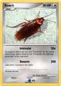Roach