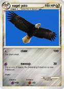 eagel yolo
