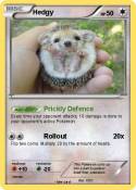 Hedgy