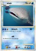 whale