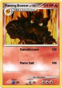 Flaming Bowser