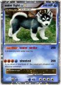 water fight