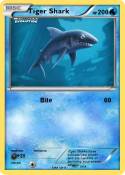 Tiger Shark