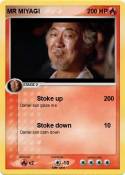 MR MIYAGI