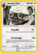 Smarter Pug