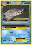 alligator