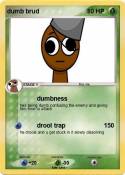 dumb brud