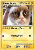 Grumpy Cat