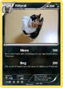 Kittycat