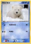 Polar Bear