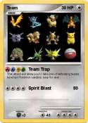 Team
