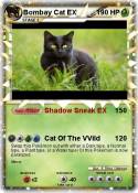 Bombay Cat EX