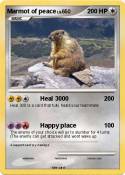 Marmot of peace