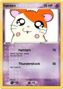 hamtaro
