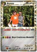 Bryesse