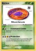 Nucleus