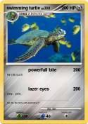 swimming turtle