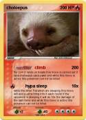 choloepus