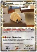Pugloaf