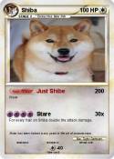 Shiba