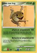 cuban tree frog
