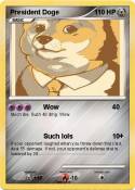 President Doge