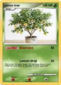 Lemon tree