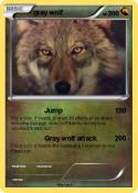 gray wolf