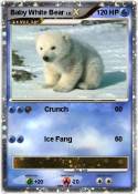 Baby White Bear
