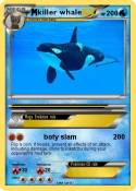 killer whale