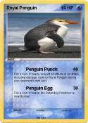 Royal Penguin