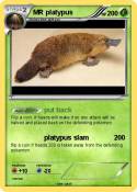 MR platypus