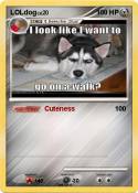 LOLdog