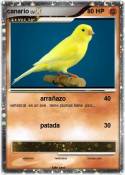 canario