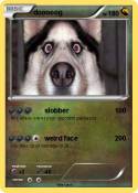dooooog