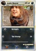 Justin Beaver Justin Beaver