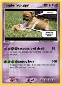 raspberry puppy raspberry puppy