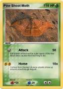 Pine Shoot Moth