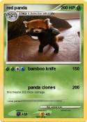 red panda