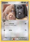 puppies